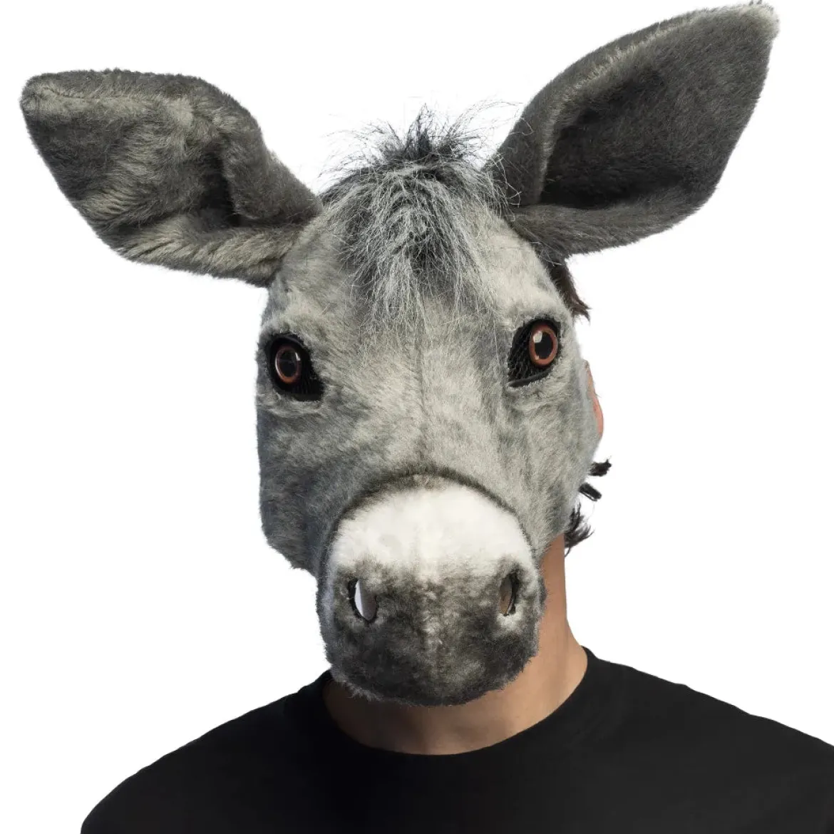 Djurmask, åsna