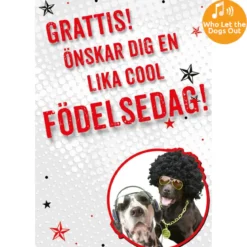 Dubbla kort med ljudeffekt, Cool typ