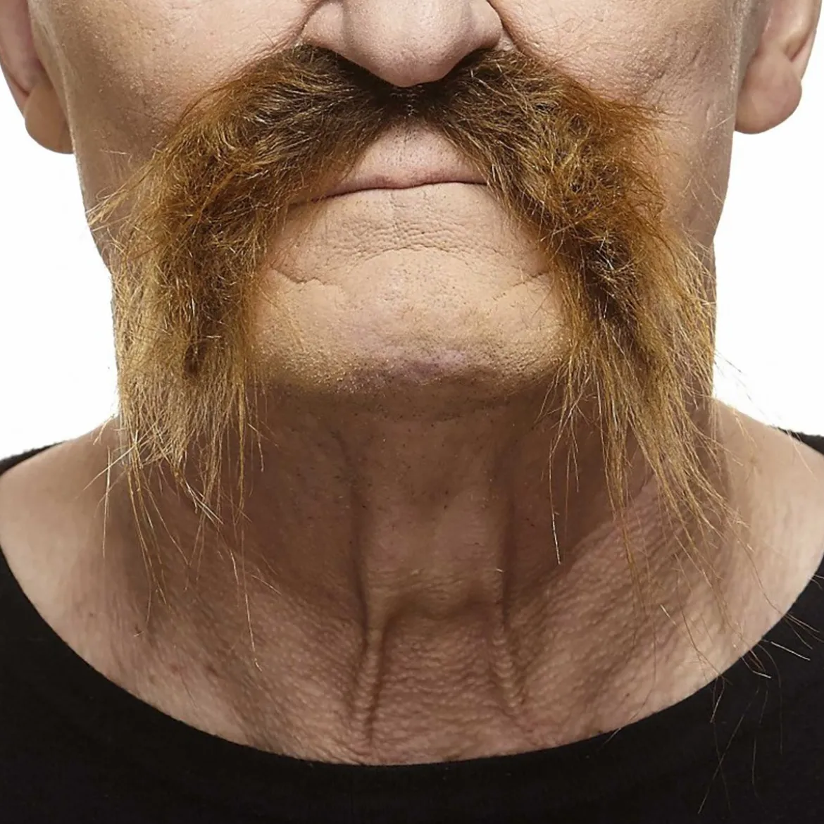 Mustasch, biker brun