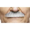 Mustasch, butler grå/vit