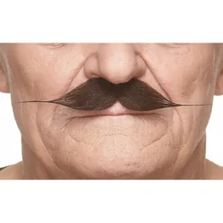 Mustasch, gentleman brun