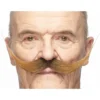 Mustasch, maestro brun
