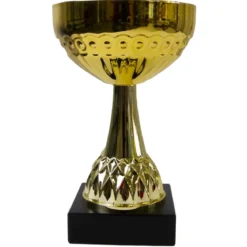 Pokal