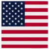 Servetter, USA 33x33 cm 20 st