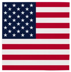Servetter, USA 33x33 cm 20 st