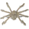 Spindel, hårig beige 75 cm