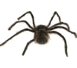 Spindel, hårig brun 75 cm